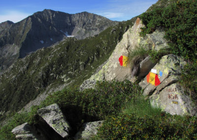 segnavia al colletto della Bosa, sfondo del monte Cresto - foto di Corrado Martiner Testa