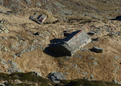 sguardo sull'alpe Mologna Piccola, inferiore e superiore - foto di Corrado Martiner Testa