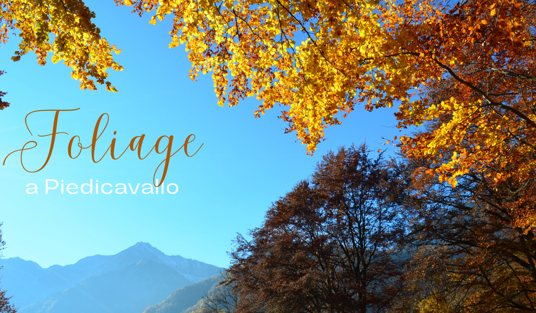 La magia del foliage a Piedicavallo: un’incredibile festa di colori autunnali